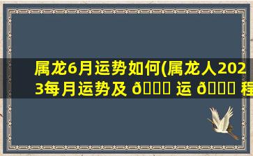 属龙6月运势如何(属龙人2023每月运势及 🐝 运 🐕 程)